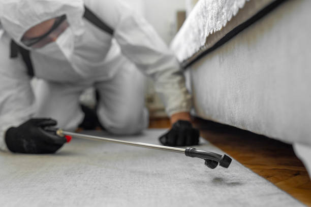 Professional Termite Control technician working in Maysville, KY