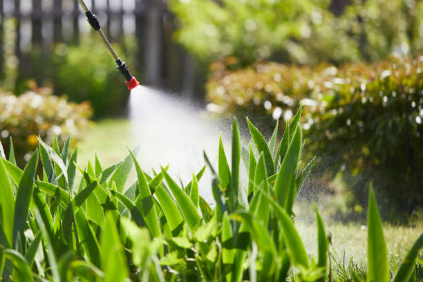 24/7 Emergency Termite Control experts in Maysville, KY